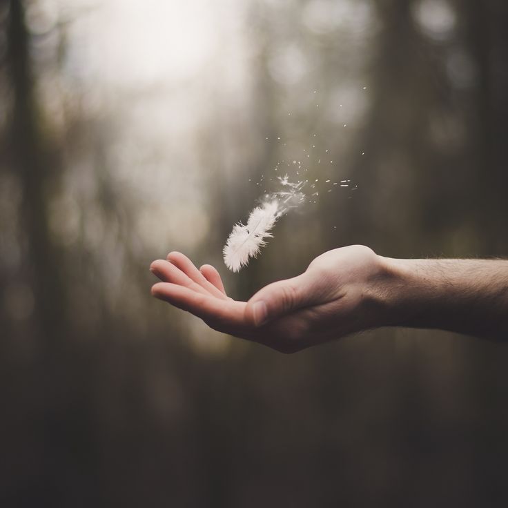 a person's hand holding a white feather in the air with a quote above it