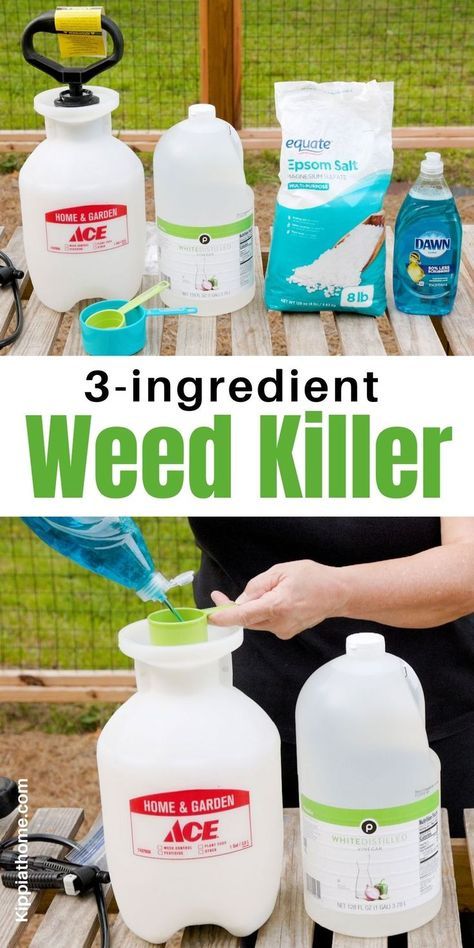 Do you hate weeds? Well, worry no more! 3-ingredient, Natural Homemade Weed Killer works great! #weedkiller #gardening #kippiathome? Weeding Tips, Kill Weeds Naturally, Killing Weeds, Natural Bug Repellent, Garden Remedies, Weed Barrier, Yard And Garden, Garden Weeds, Diy Backyard Landscaping