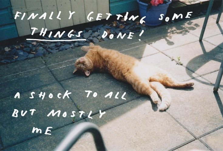 an orange and white cat laying on top of a patio next to a metal chair