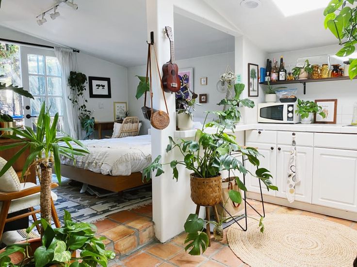 a bedroom with lots of potted plants in the corner and a bed on the other side