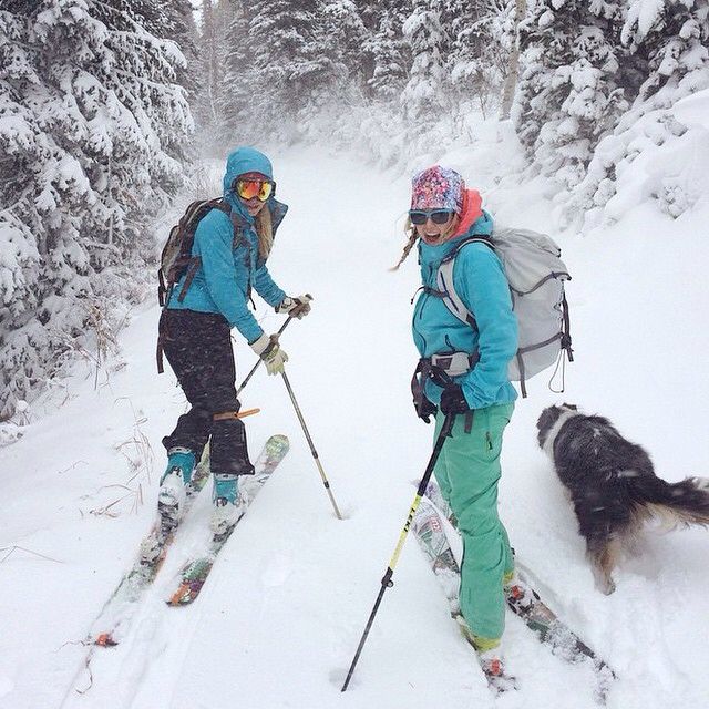 two people on skis with their dogs in the snow