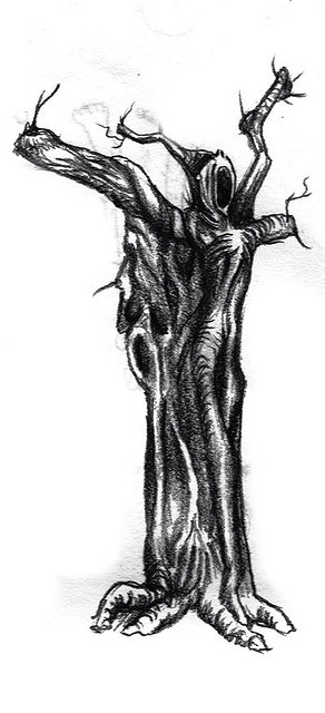 a pencil drawing of a tree with no leaves on the trunk and branches growing out of it