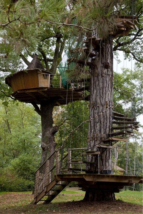 a tree house built in the middle of a forest