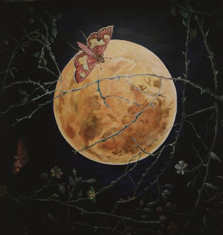 a painting of a butterfly sitting on top of a tree branch in front of a full moon