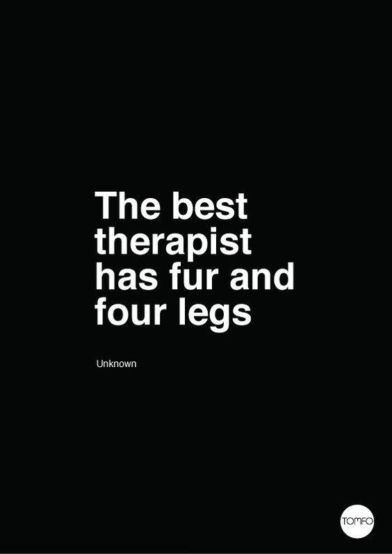 the best therapy has fur and four legs quote on black background with white text that reads,