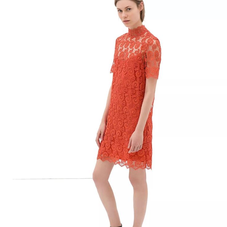 Zara Crochet Coral Dress New With Tags Size : S Chic Short Sleeve Lace Dress For Date Night, Chic Spring Cocktail Lace Dress, Chic Lace Dress With Short Sleeves For Date Night, Elegant Orange Short Sleeve Dress, Spring Short Sleeve Lace Cocktail Dress, Spring Lace Midi Dress For Workwear, Spring Cocktail Lace Dress With Short Sleeves, Short Sleeve Lace Dress For Cocktail, Shift Mini Dress With Short Sleeves For Party