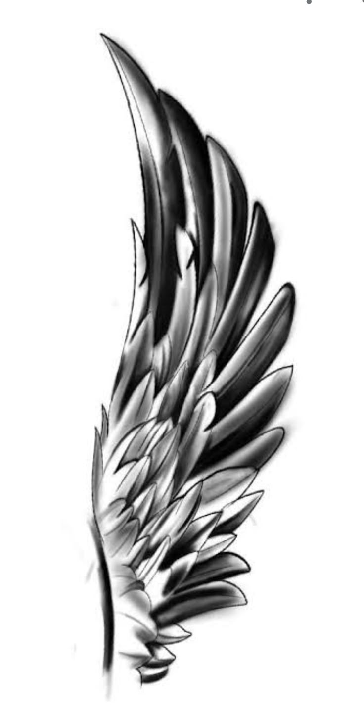 a black and white drawing of a wing