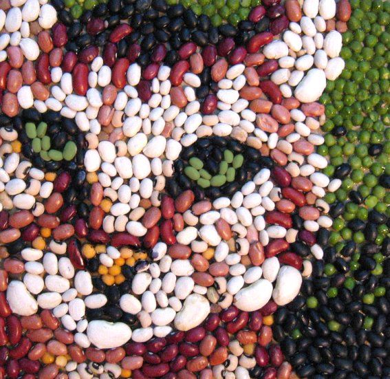 a cat made out of beans on top of a green surface with white and black dots