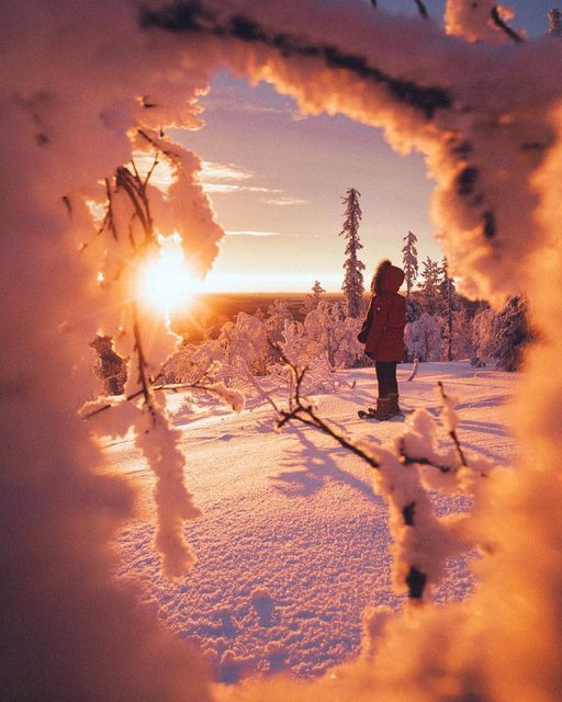 a person standing in the snow looking out into the distance with trees and sun behind them