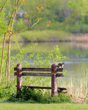 an old wooden bench sitting next to a lake