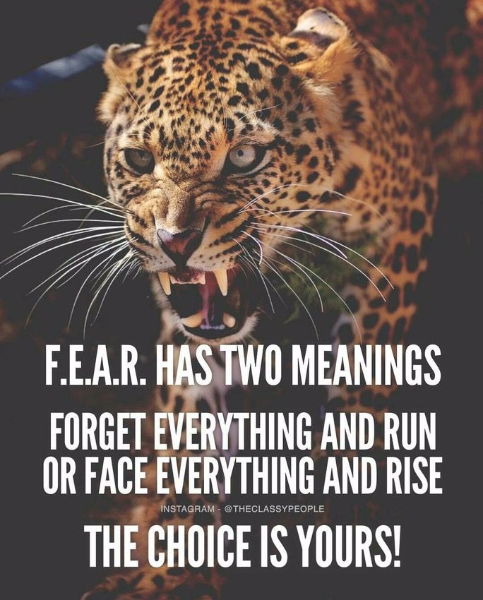 a leopard with its mouth open and the words fear has two meaningss forget everything and run or face everything and rise to the choice is yours