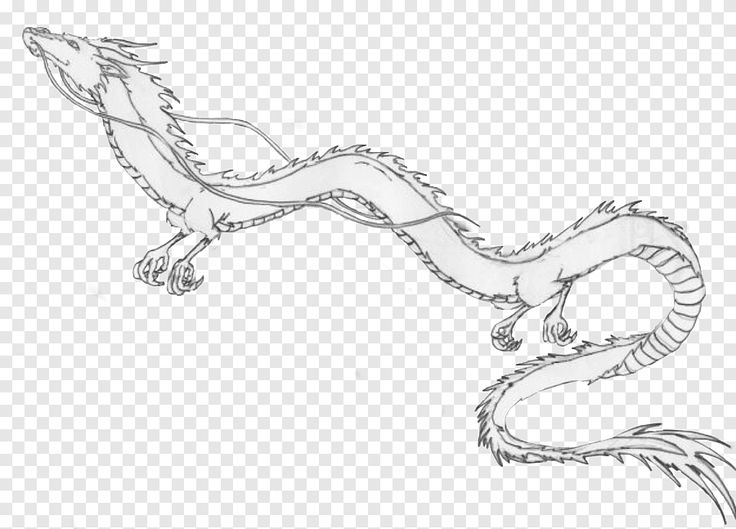 a black and white drawing of a dragon on a transparent background, hd png