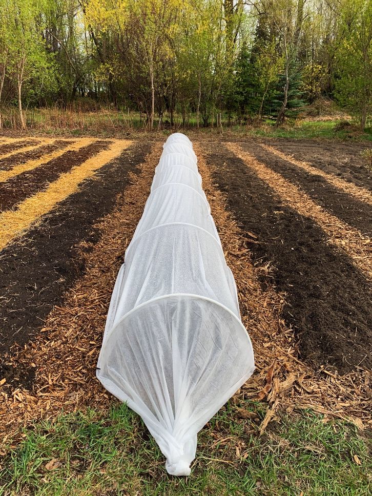 there is a white net on the end of a row of trees in an open field