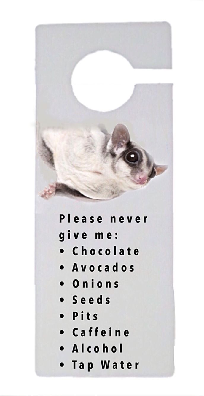 a white door hanger with an image of a gerbil on it's side