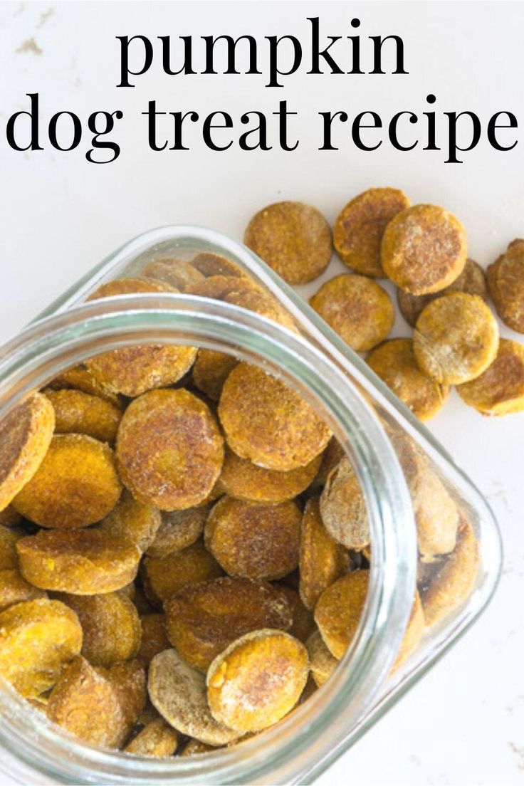 pumpkin dog treat recipe in a glass bowl