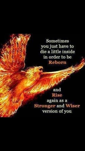 a fire bird flying through the air with a quote on it's back ground