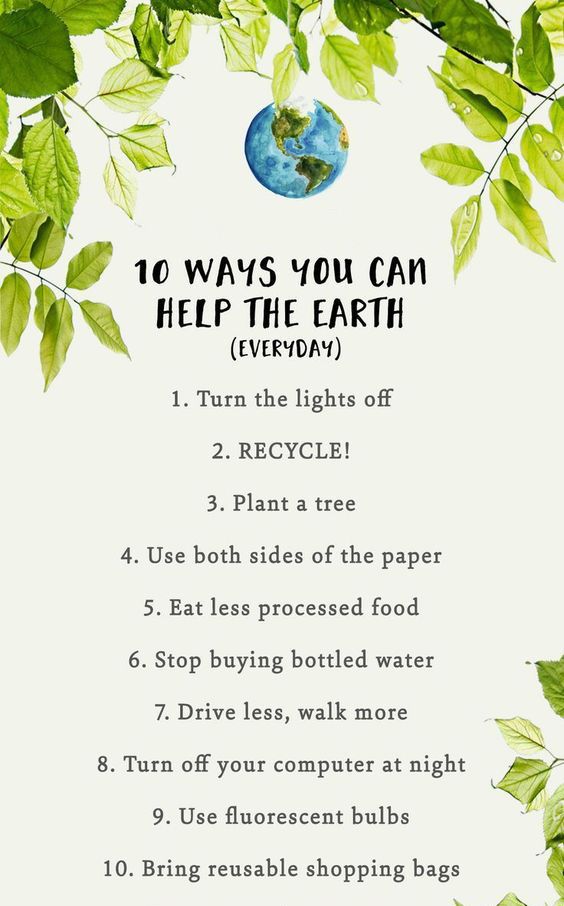 the top ten ways you can help the earth every day, with green leaves on it