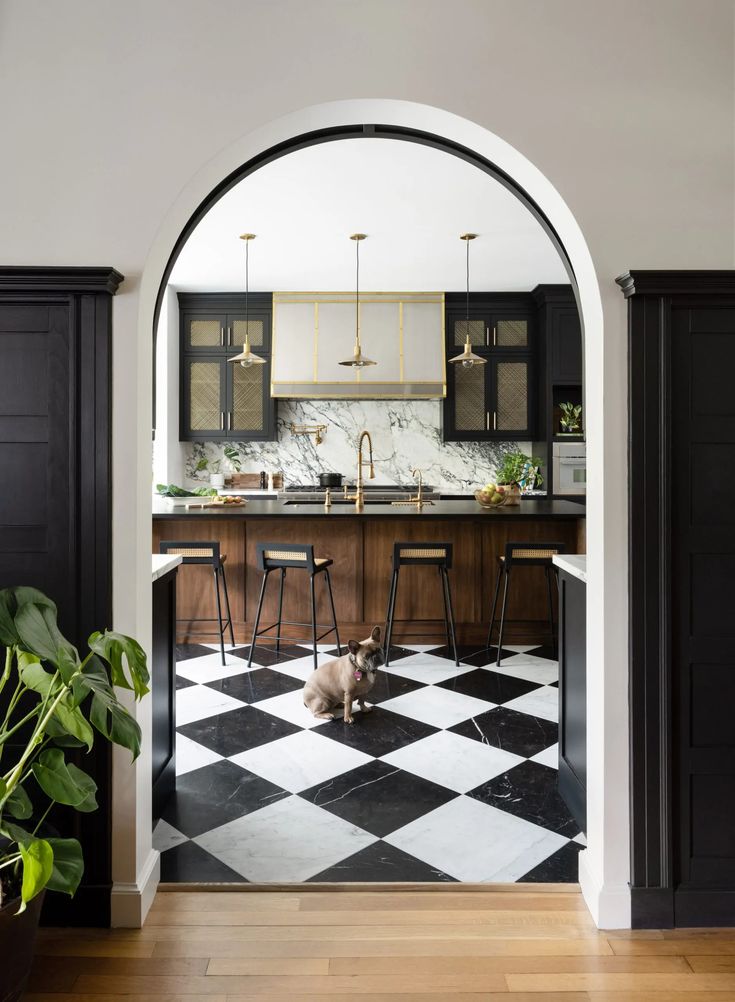 a dog sitting in the middle of a kitchen with black and white checkered flooring