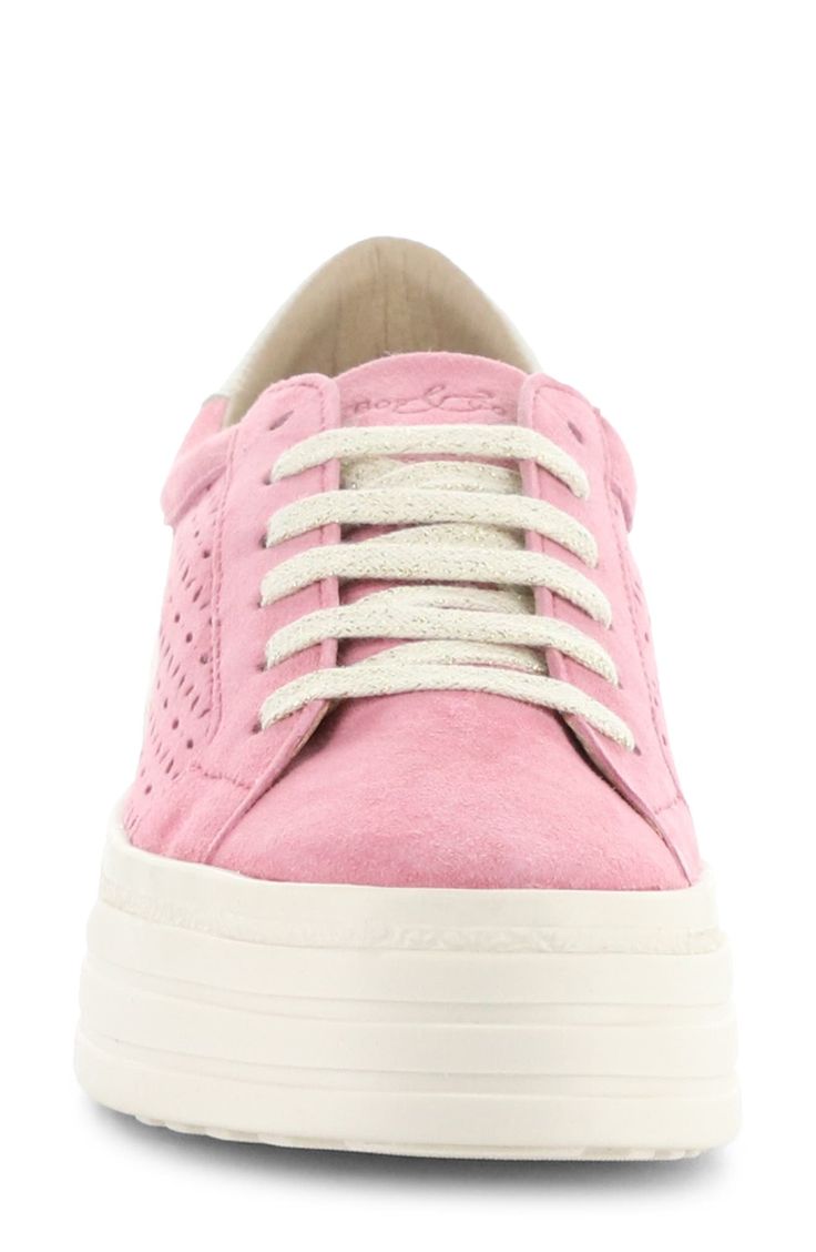 Contrasting accents and laser-cut detailing add street-savvy appeal to a low-profile sneaker grounded by a chunky platform sole. 2" heel; 1 1/2" platform Lace-up style Removable, cushioned insole allows for custom orthotics Leather upper/textile lining/rubber sole Made in Portugal Pink Leather Sneakers With Perforations, Pink Low-top Platform Sneakers With Textured Sole, Spring Suede Platform Sneakers With Round Toe, Spring Suede Lace-up Platform Sneakers, Spring Lace-up Suede Platform Sneakers, Modern Lace-up Platform Sneakers With Perforations, Lace-up Platform Sneakers With Perforations, Pink Platform Sneakers With Laces For Spring, Spring Suede Lace-up Sneakers