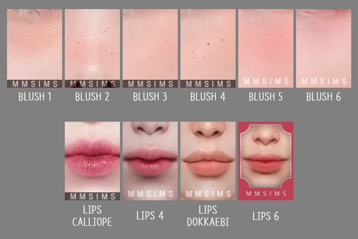 the different lips are shown in this chart