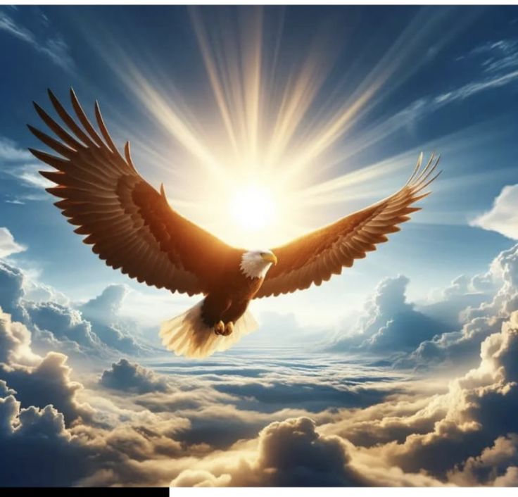 an eagle soaring above the clouds with the sun shining through it's wings in the sky