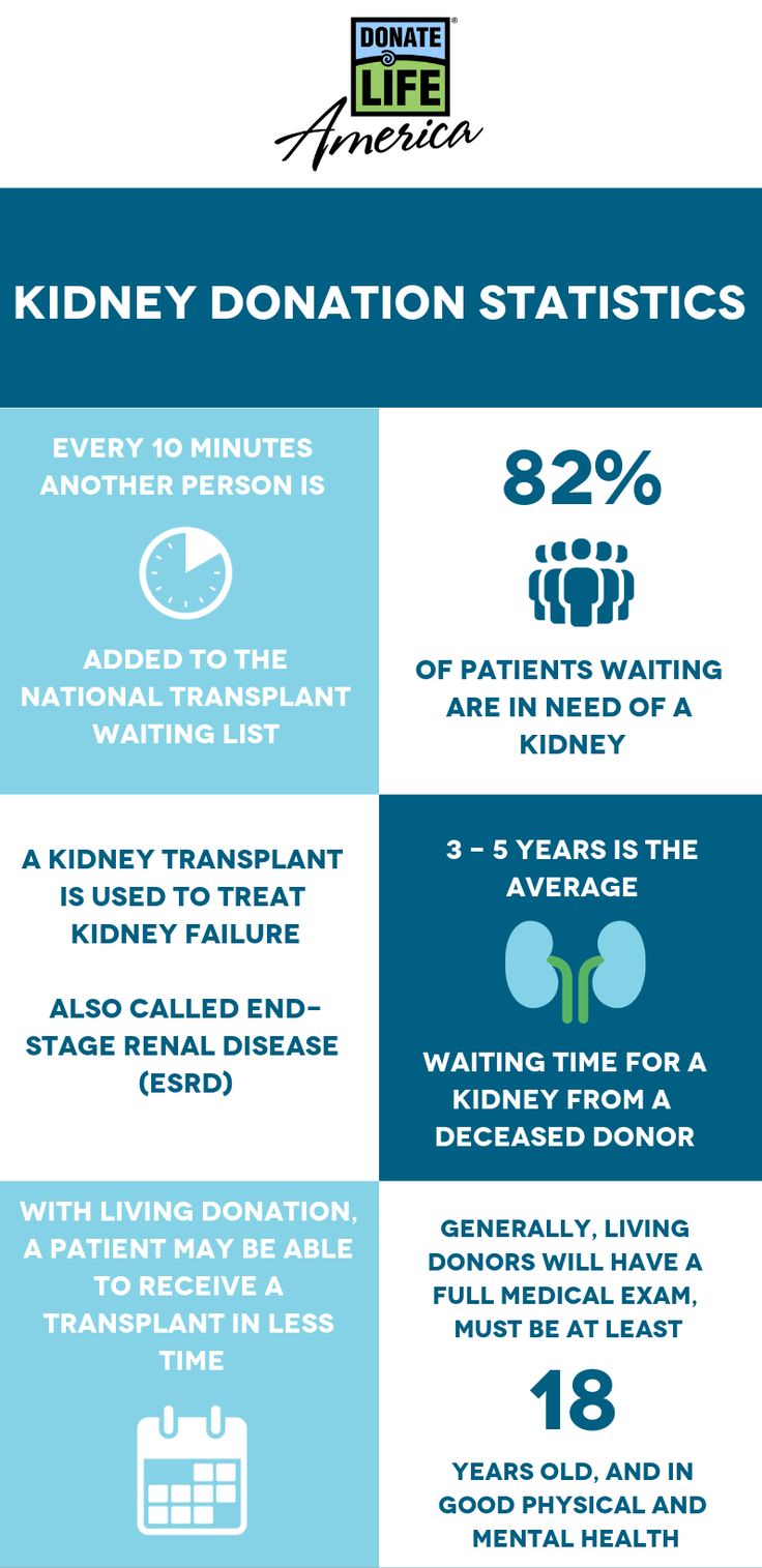 Kidney Donation: Everything you need to know | Donate Life America Living Kidney Donor, Kidney Donation, Polycystic Kidneys, Kidney Donor, Donate Life, Healthy Kidneys, Organ Donor, Mayo Clinic, Need To Know