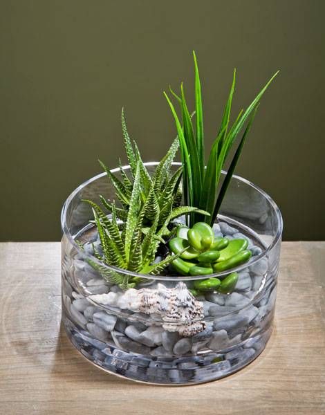 a glass bowl filled with rocks and plants