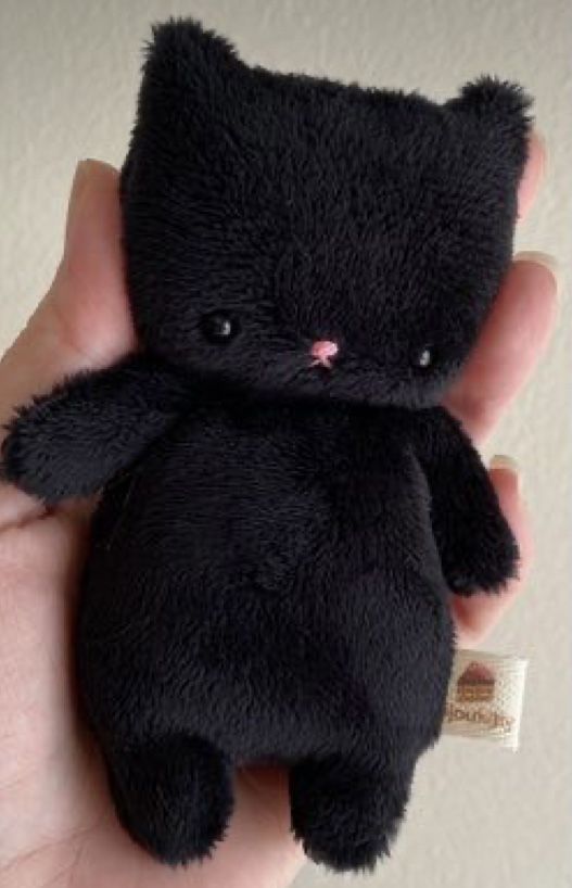 a hand holding a black teddy bear in it's palm