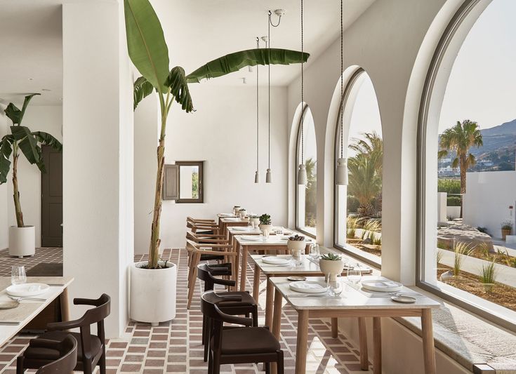 a living room filled with white furniture and lots of plants on the table in front of large windows