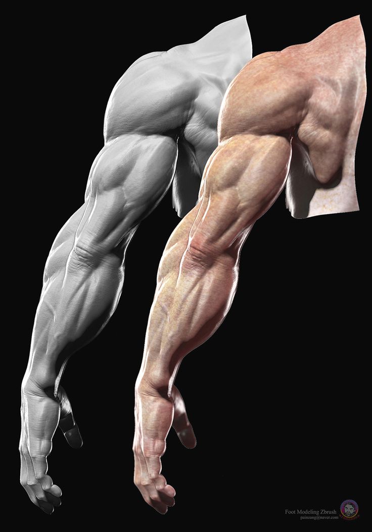 an image of a man's back and arm muscles