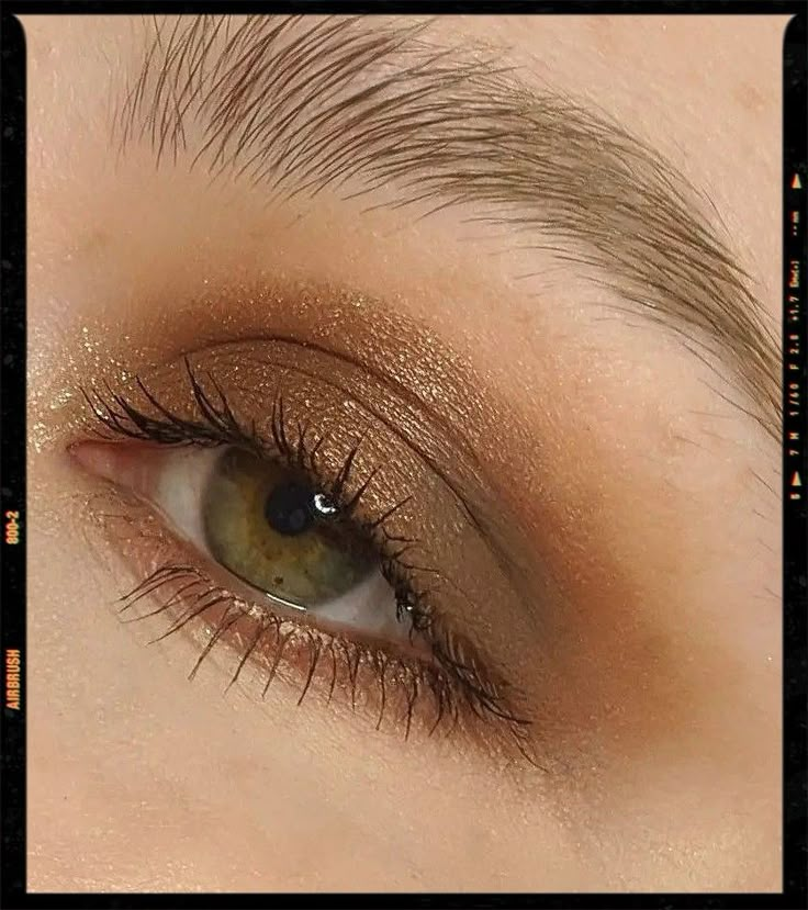 Dark Academia Makeup Looks Autumn 2023 Makeup, Dark Academia Makeup Ideas, Makeup Looks Dark Academia, Evermore Makeup Look, Evermore Eye Makeup, Evermore Inspired Makeup, Dark Academia Makeup Aesthetic, Dark Academia Eye Makeup, Dark Neutral Makeup