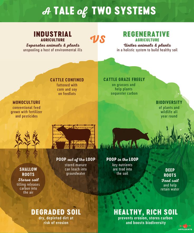 the four stages of farming in two different areas, including an image of a cow and a