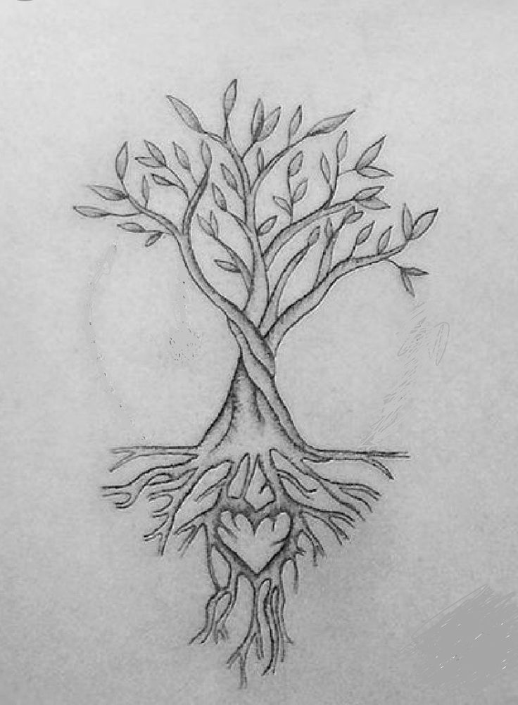 a drawing of a tree with its roots in the shape of a heart