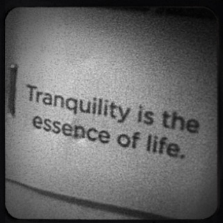 the words tranquility is the essence of life on a white and black background