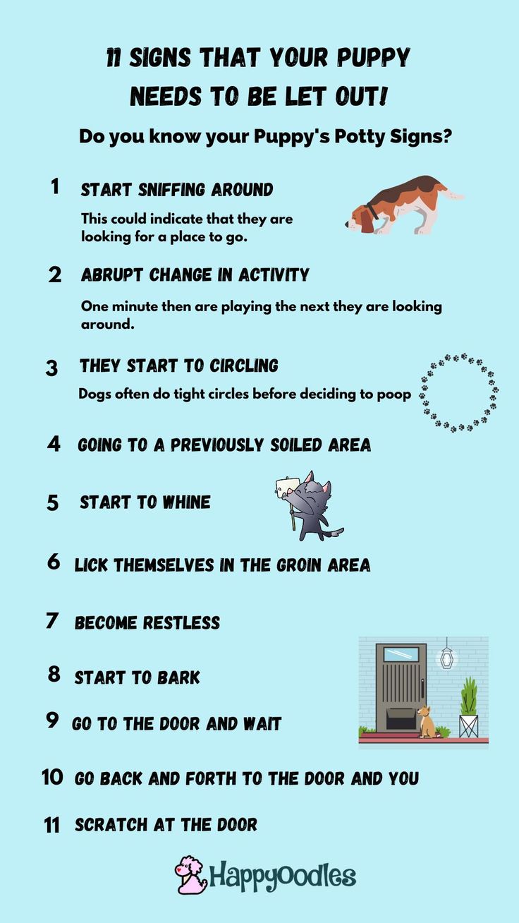 a poster with instructions on how to keep your dog out of the house and what to do