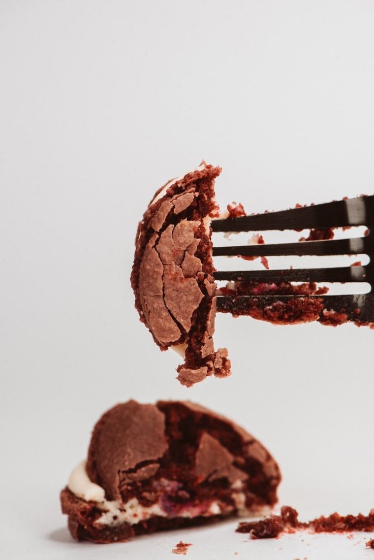 a piece of chocolate cake being held by a fork with it's bite taken out