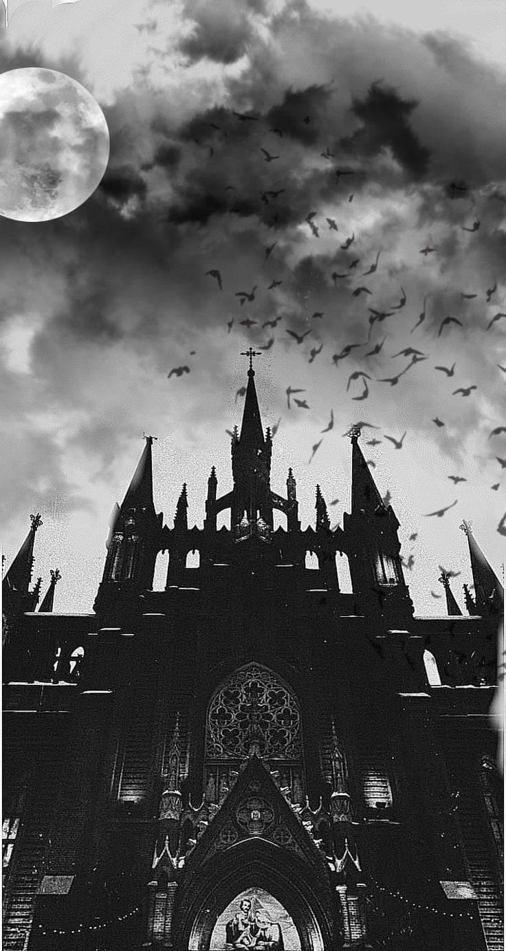 black and white photograph of an old building with bats flying in the sky