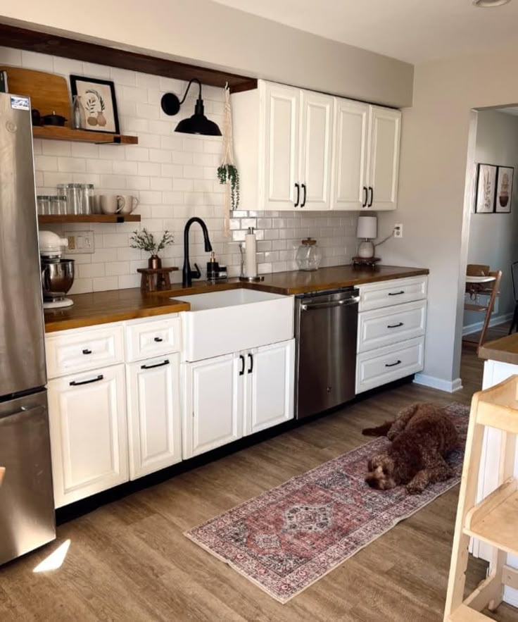 a dog laying on the floor in a kitchen