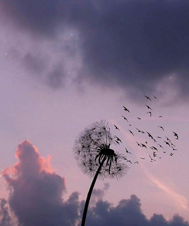 a dandelion with birds flying in the sky