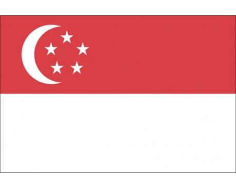 the flag of singapore with five stars and a crescent on it's left side