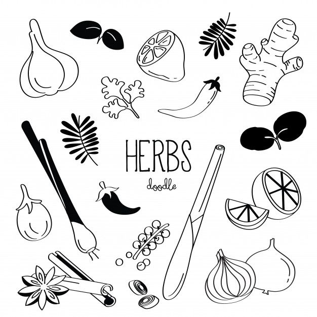 black and white illustration of herbs with the words herbs below it on a white background