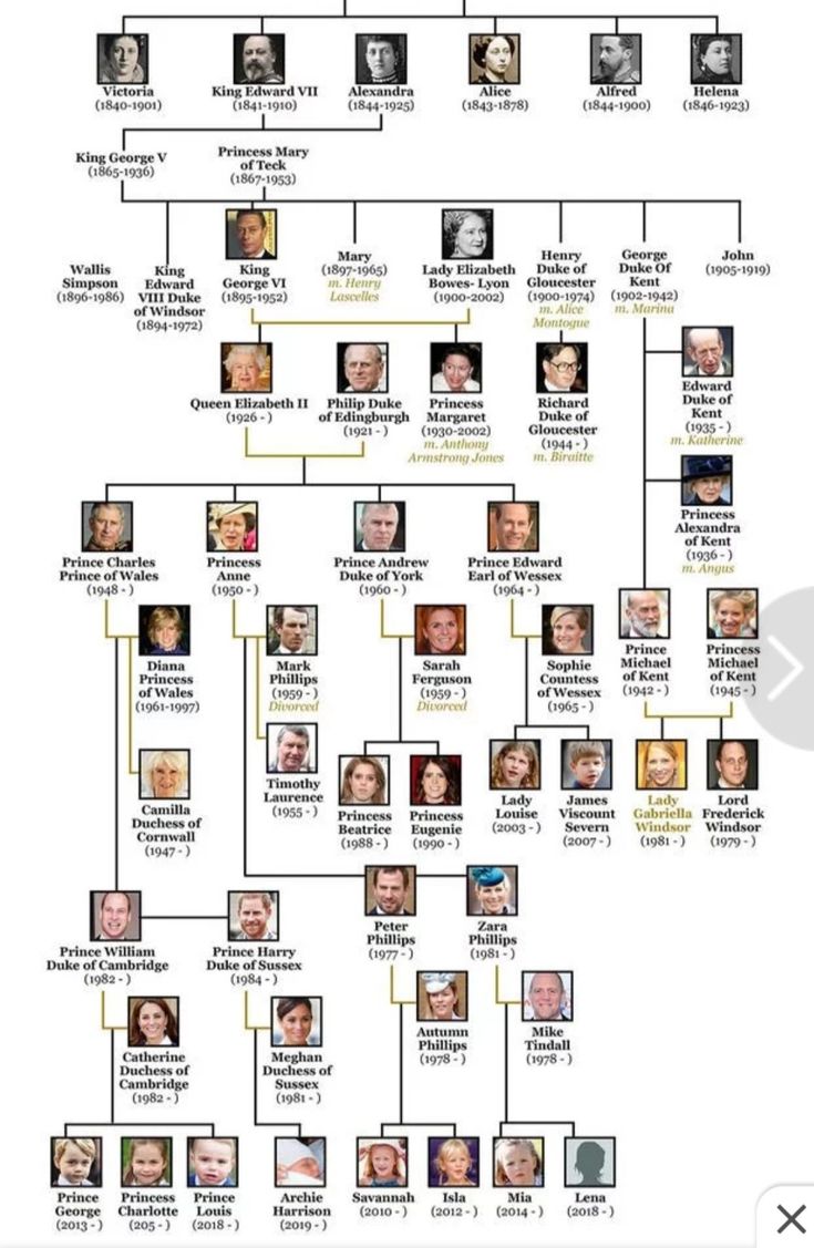 the family tree for lady garbella's family is shown in this image