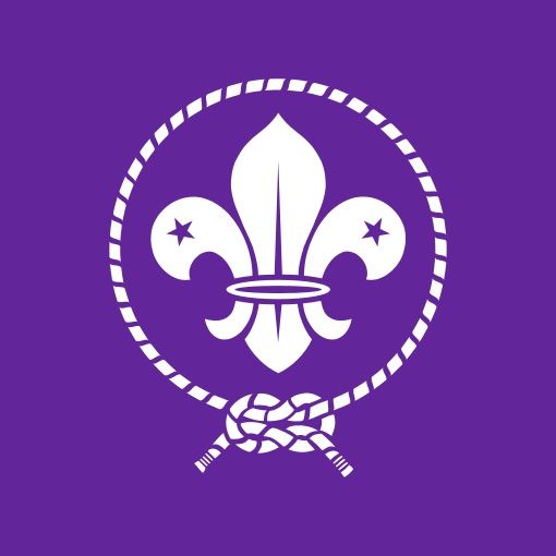 a white fleur de lis on a purple background