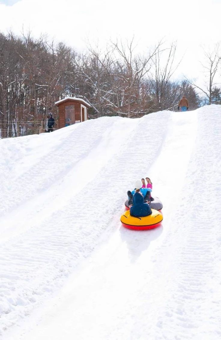 two people are sledding down a snowy hill