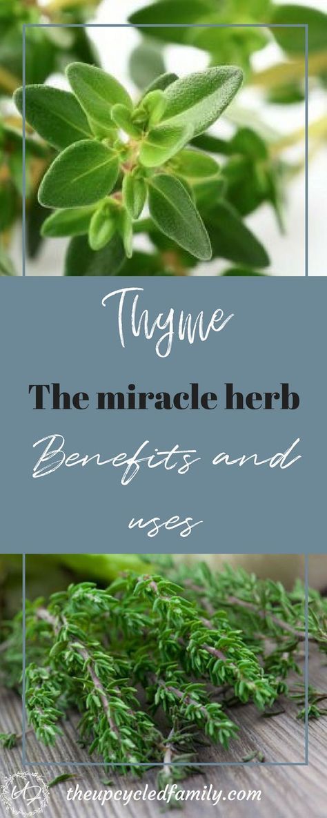 some green herbs on a wooden table with the words thye the miracle herb benefits and uses