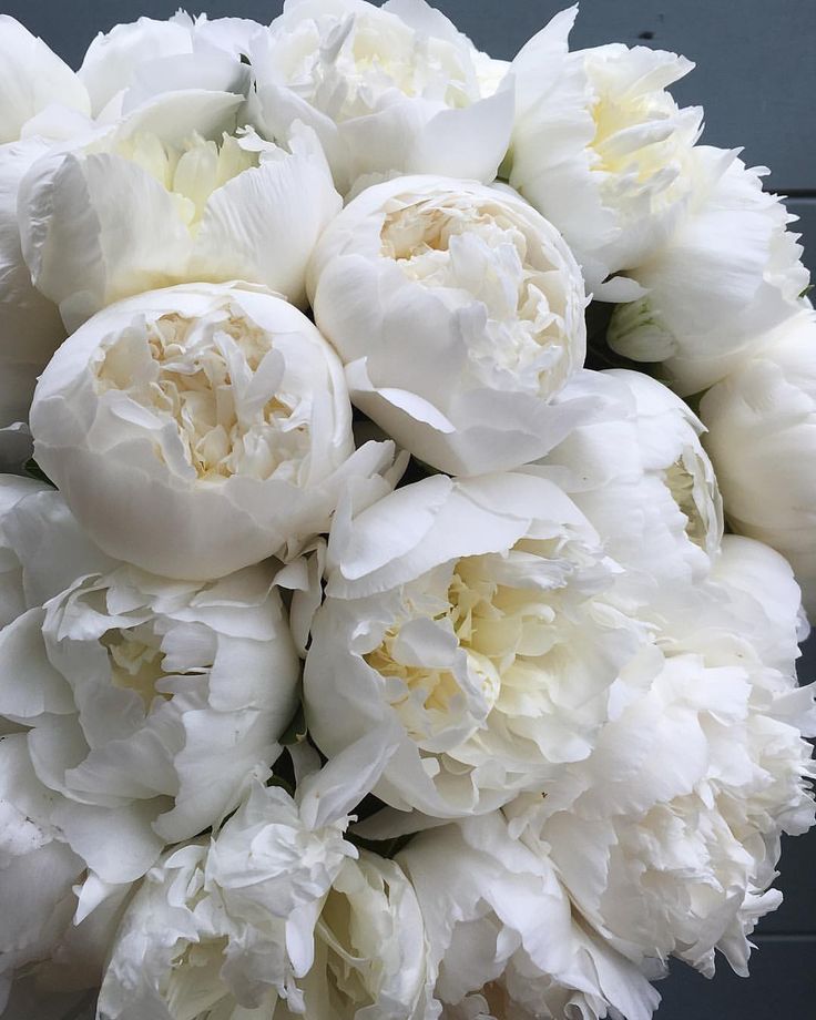 a bouquet of white flowers sitting on top of a table