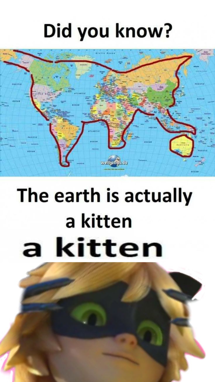 the earth is actually a kitten and it looks like he's wearing a mask