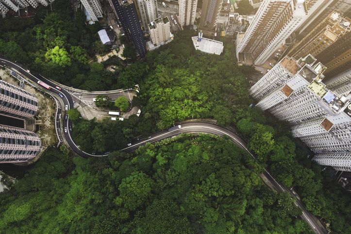 an aerial view of a road in the middle of a green area with tall buildings