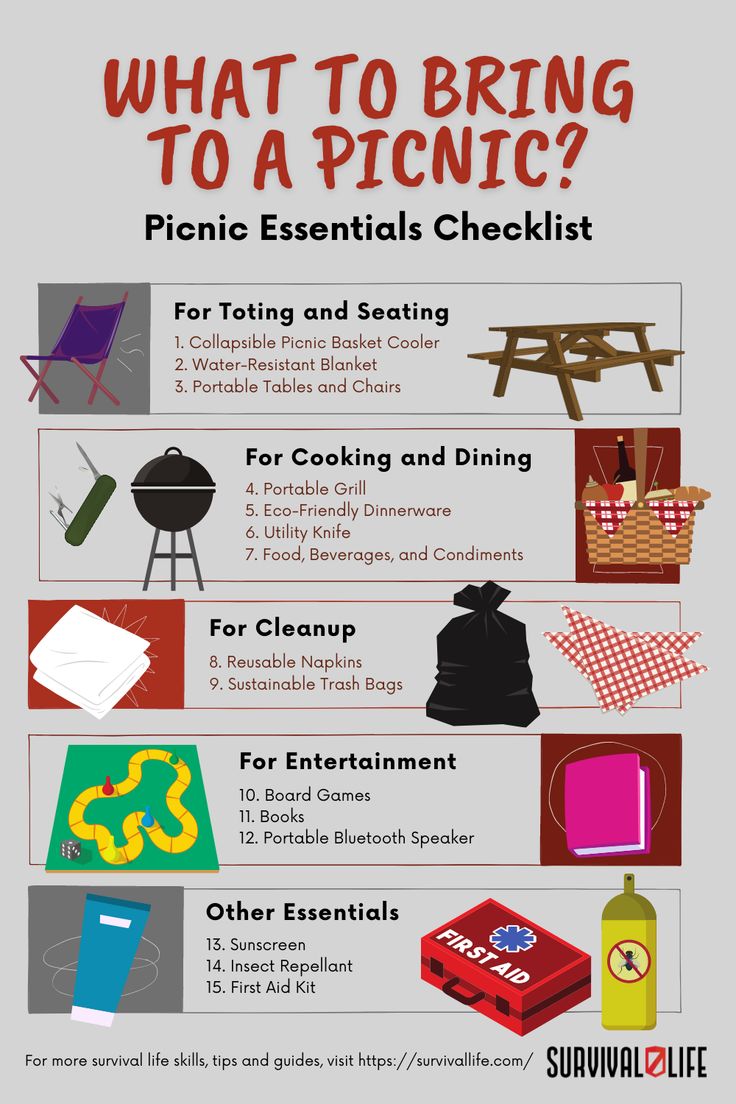 what to bring to a picnic? picnic essentials checklist