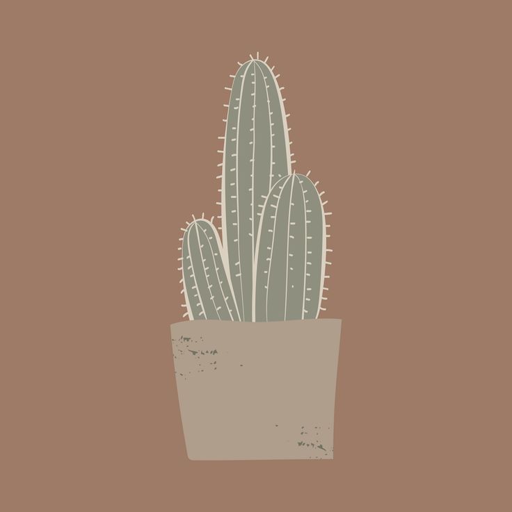 a cactus in a pot on a brown background